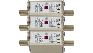 Fusible Littelfuse 157.5701.6101 100A 48VDC - Fusible à Lame Pour Véhicules Électriques Et Chariots Élévateurs à Batterie