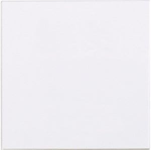 704910 | Ersatzglasscheibe MCP-Gehäuse 70490x/7048xx und 761694/97