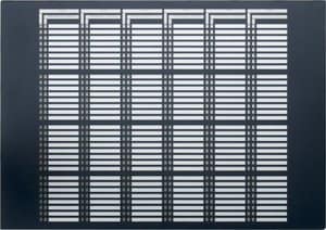 786000 | SZI front for 192 detector zones